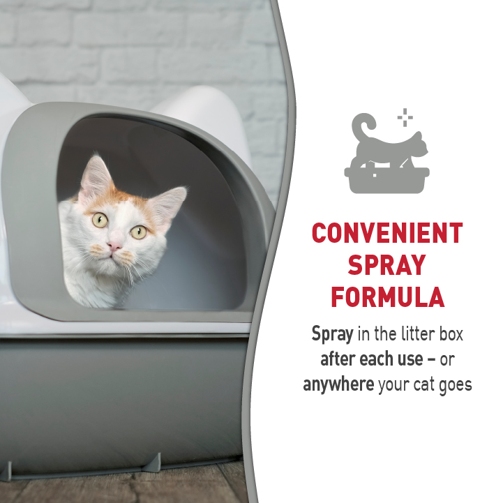 Nature's miracle litter box odor outlet destroyer
